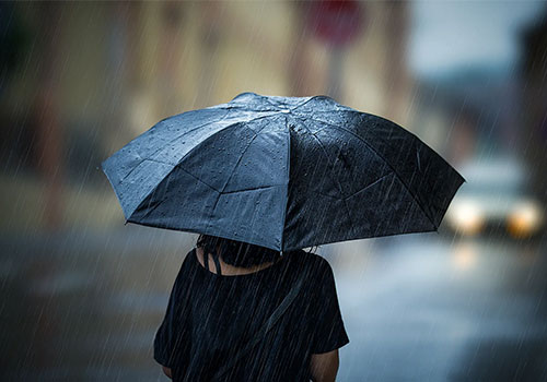 تفشي صغير في صناعة المظلات: زادت التسجيلات في العام الماضي بنسبة 139٪