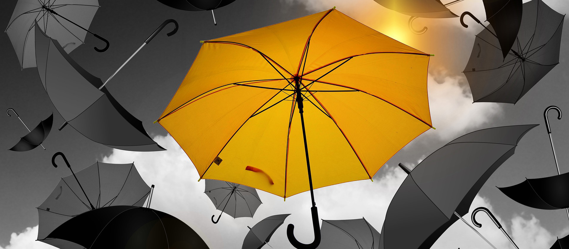 هناك أربع مواد رئيسية لخطوات المظلة